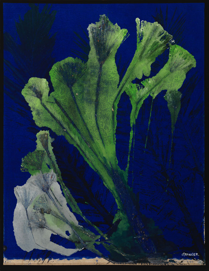 Michel Granger - Série Herbarium